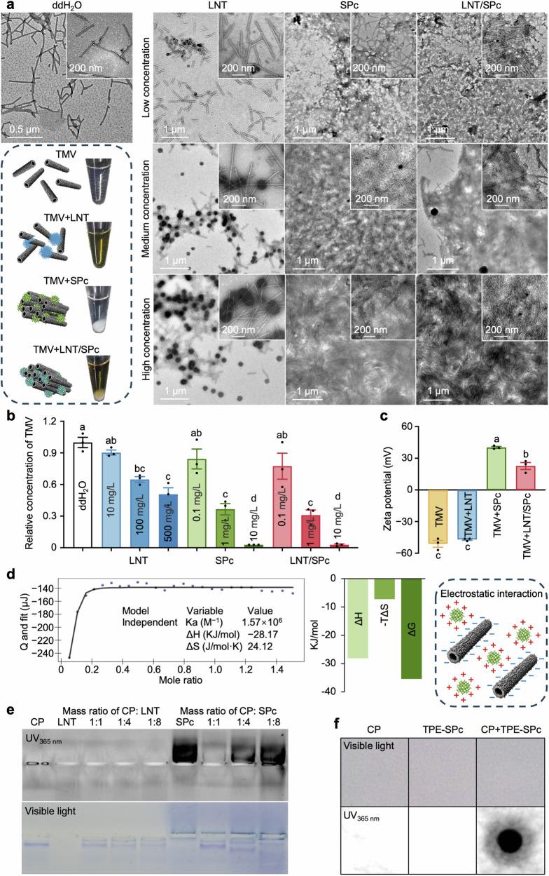 https://cdn.ncbi.nlm.nih.gov/pmc/blobs/23b3/11445512/8ebd17930764/41467_2024_52851_Fig2_HTML.jpg
