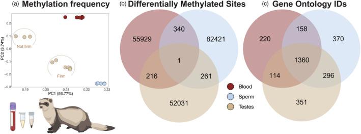 https://cdn.ncbi.nlm.nih.gov/pmc/blobs/23b4/10818088/e46547b0d523/EVA-17-e13634-g001.jpg