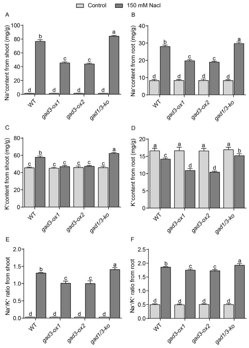 https://cdn.ncbi.nlm.nih.gov/pmc/blobs/23b4/11479070/85beda15fc51/plants-13-02750-g004.jpg