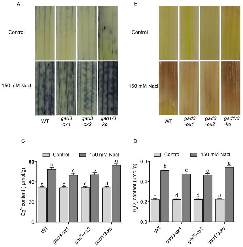 https://cdn.ncbi.nlm.nih.gov/pmc/blobs/23b4/11479070/cbee83e3b48f/plants-13-02750-g005.jpg