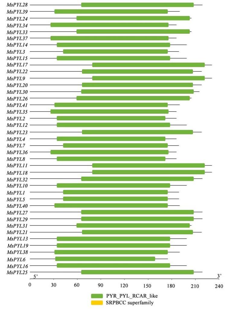 https://cdn.ncbi.nlm.nih.gov/pmc/blobs/23b4/12007309/06635f5a2912/12864_2025_11575_Fig8_HTML.jpg