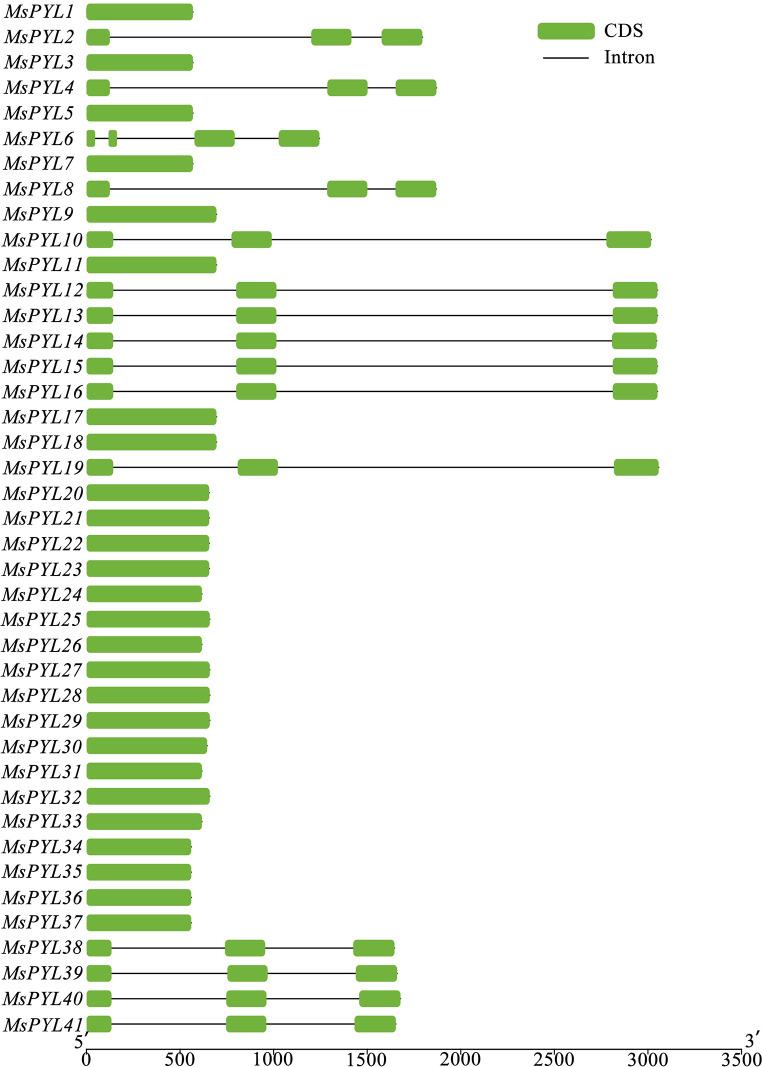 https://cdn.ncbi.nlm.nih.gov/pmc/blobs/23b4/12007309/69f44c4f330f/12864_2025_11575_Fig10_HTML.jpg