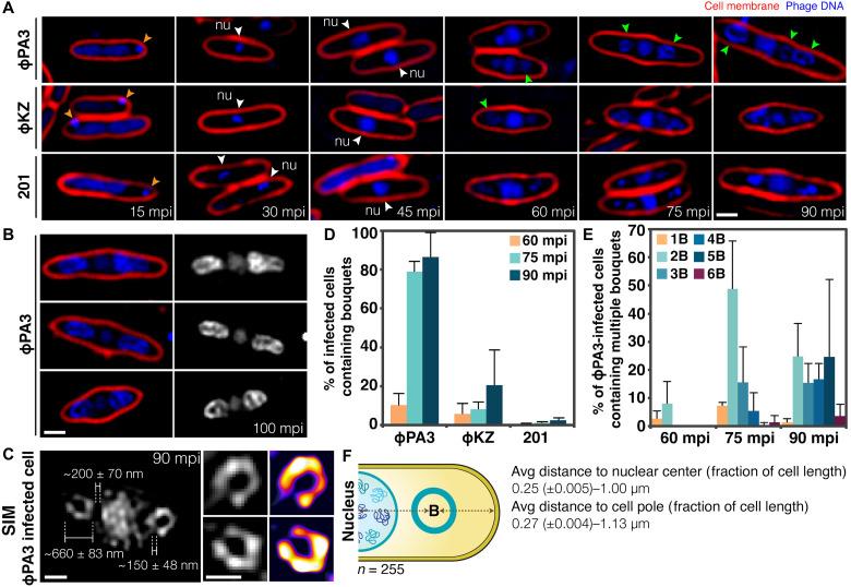 https://cdn.ncbi.nlm.nih.gov/pmc/blobs/23b5/9067925/76e12986e2ac/sciadv.abj9670-f1.jpg