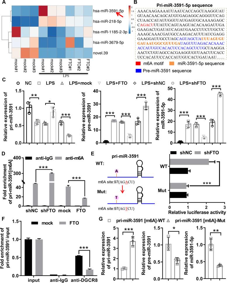 https://cdn.ncbi.nlm.nih.gov/pmc/blobs/23b6/10067311/a04df70af26a/13075_2023_3035_Fig3_HTML.jpg