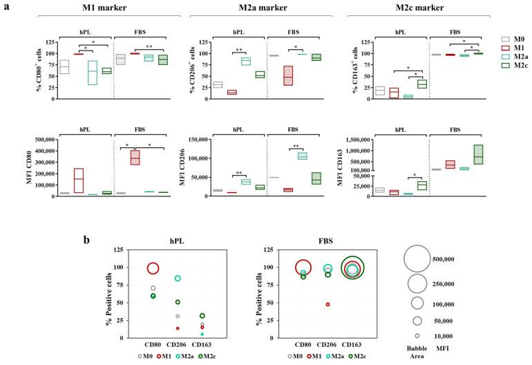 https://cdn.ncbi.nlm.nih.gov/pmc/blobs/23b6/11048141/912970d88711/biomedicines-12-00833-g005.jpg