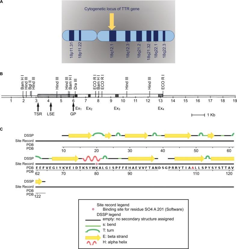 https://cdn.ncbi.nlm.nih.gov/pmc/blobs/23b8/5689029/c004079104d8/pgpm-10-267Fig2.jpg