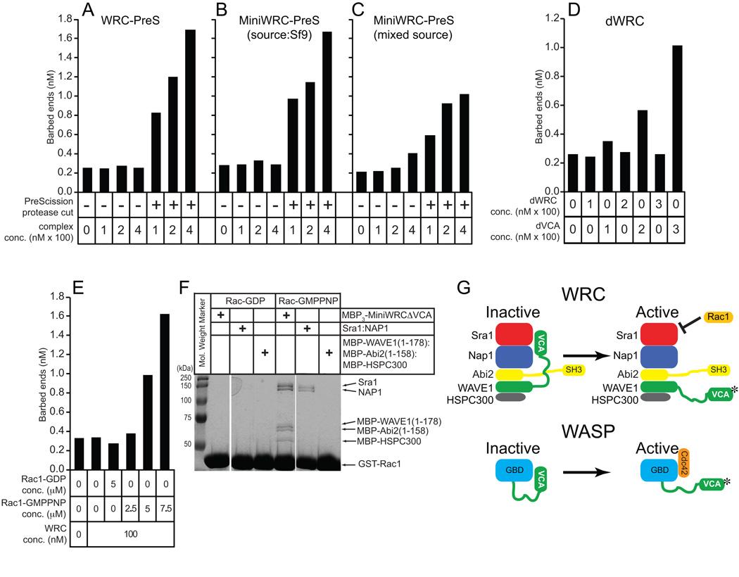 https://cdn.ncbi.nlm.nih.gov/pmc/blobs/23b9/2716658/a667d0fe624b/nihms103233f2.jpg