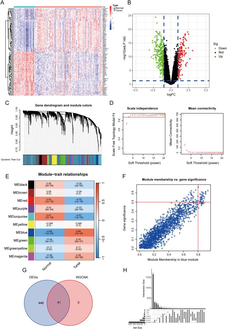 https://cdn.ncbi.nlm.nih.gov/pmc/blobs/23ba/11745062/57e893464e4f/OTT-18-49-g0003.jpg