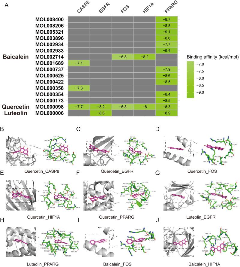 https://cdn.ncbi.nlm.nih.gov/pmc/blobs/23ba/11745062/9430d3c3b6c5/OTT-18-49-g0009.jpg
