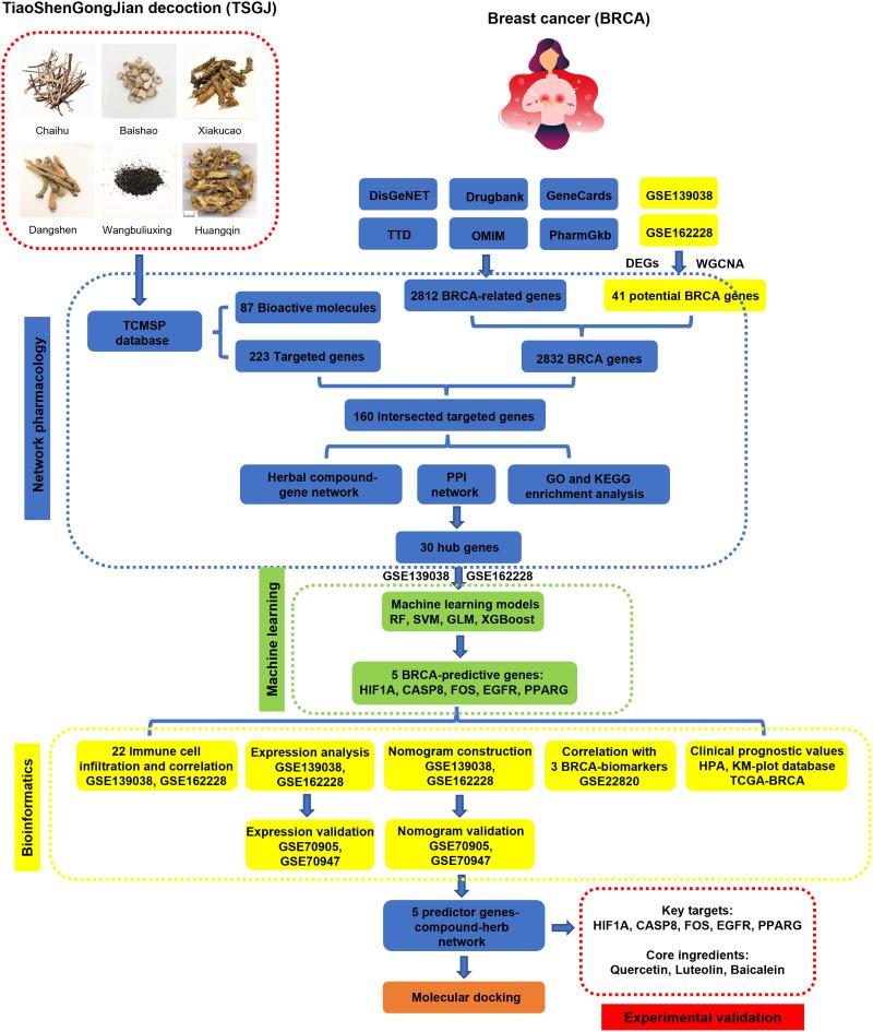 https://cdn.ncbi.nlm.nih.gov/pmc/blobs/23ba/11745062/b5530a030ea9/OTT-18-49-g0002.jpg