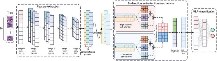 https://cdn.ncbi.nlm.nih.gov/pmc/blobs/23bb/11526788/2017d1bacf5b/peerj-12-18098-g003.jpg
