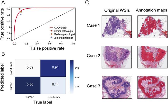 https://cdn.ncbi.nlm.nih.gov/pmc/blobs/23bb/11526788/98b283778e4d/peerj-12-18098-g002.jpg