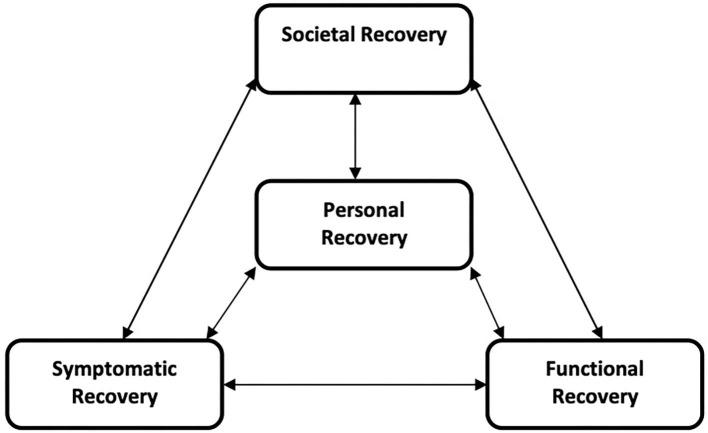 https://cdn.ncbi.nlm.nih.gov/pmc/blobs/23bb/7874019/eaffb5539ad6/fpsyt-11-609530-g0001.jpg