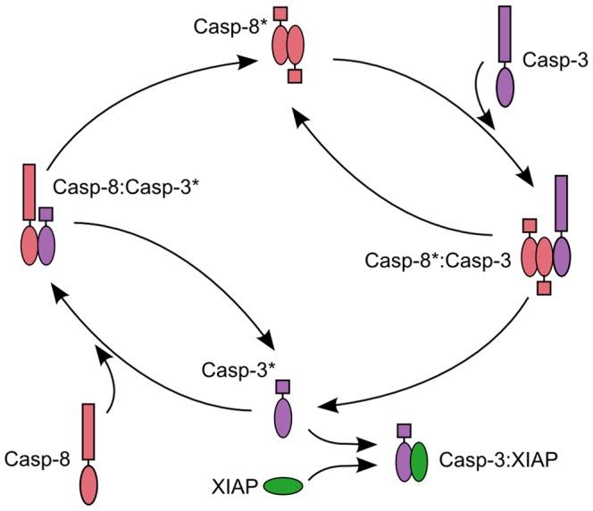 https://cdn.ncbi.nlm.nih.gov/pmc/blobs/23bf/3867358/c6038e8f17e8/pone.0082593.g005.jpg