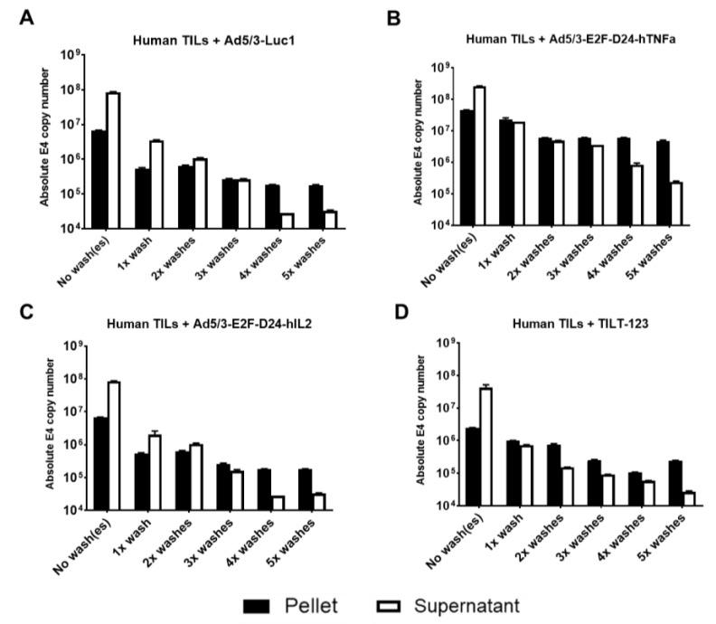 https://cdn.ncbi.nlm.nih.gov/pmc/blobs/23bf/8143525/0b3c71f73848/cells-10-00978-g001.jpg