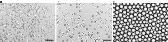https://cdn.ncbi.nlm.nih.gov/pmc/blobs/23c5/11024159/c88854c8243d/41598_2024_59170_Fig1_HTML.jpg