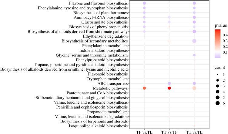 https://cdn.ncbi.nlm.nih.gov/pmc/blobs/23c5/12000079/252b3334ee57/fpls-16-1478061-g004.jpg