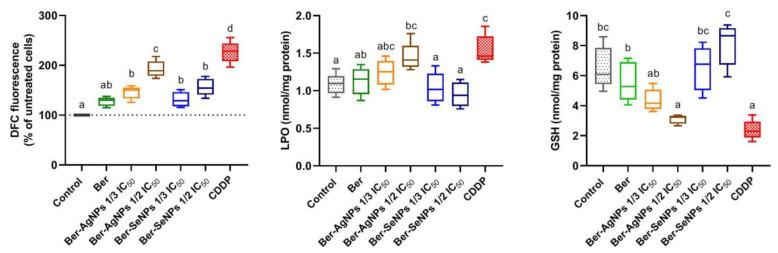 https://cdn.ncbi.nlm.nih.gov/pmc/blobs/23c6/10854975/b57016a37c9c/cells-13-00287-g008.jpg