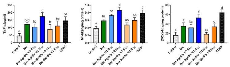 https://cdn.ncbi.nlm.nih.gov/pmc/blobs/23c6/10854975/da0e5f3230b3/cells-13-00287-g007.jpg