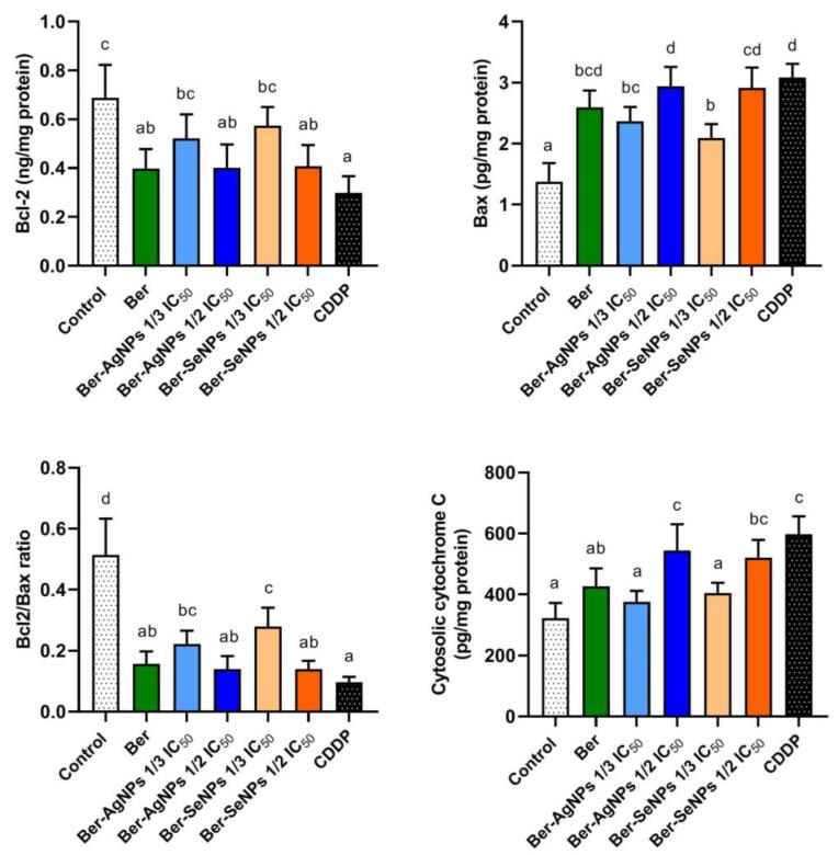 https://cdn.ncbi.nlm.nih.gov/pmc/blobs/23c6/10854975/e397a0208505/cells-13-00287-g004.jpg