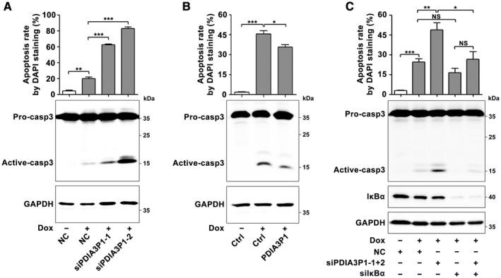 https://cdn.ncbi.nlm.nih.gov/pmc/blobs/23c6/7318625/e9630a3139f6/HEP-71-1660-g002.jpg