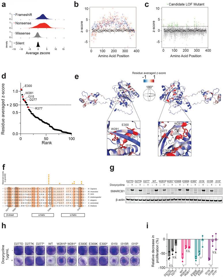 https://cdn.ncbi.nlm.nih.gov/pmc/blobs/23c7/11975040/90e3404347bc/nihpp-rs6018128v1-f0002.jpg