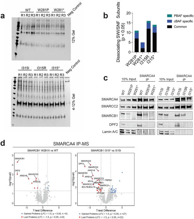 https://cdn.ncbi.nlm.nih.gov/pmc/blobs/23c7/11975040/b677ff70ecc4/nihpp-rs6018128v1-f0009.jpg