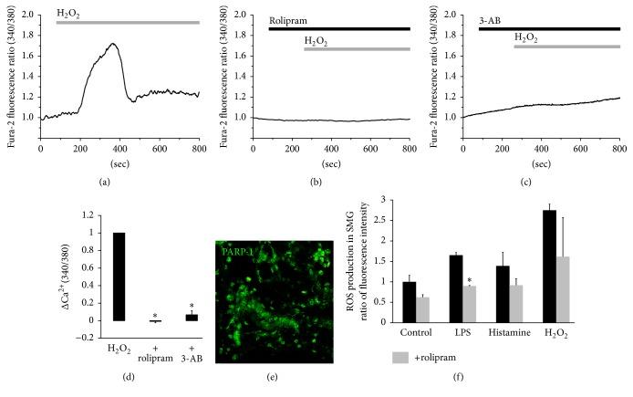 https://cdn.ncbi.nlm.nih.gov/pmc/blobs/23c7/4838792/27089f2fd721/MI2016-3745961.002.jpg