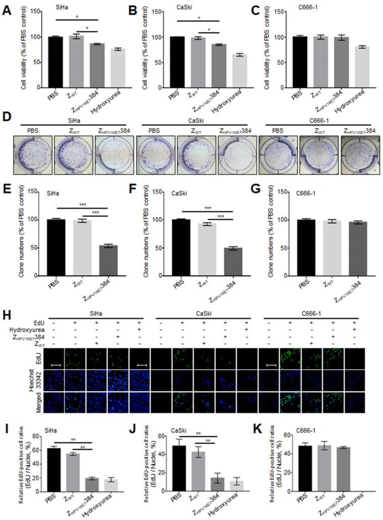 https://cdn.ncbi.nlm.nih.gov/pmc/blobs/23c7/9405713/639ed493100b/biomolecules-12-01114-g002.jpg