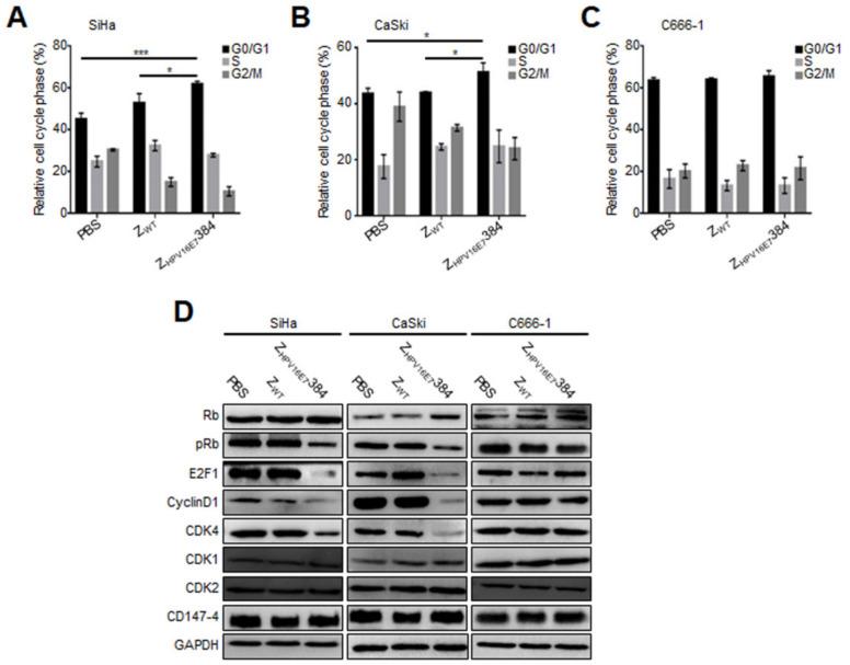 https://cdn.ncbi.nlm.nih.gov/pmc/blobs/23c7/9405713/6c1416d51232/biomolecules-12-01114-g003.jpg