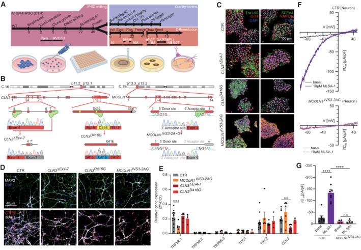 https://cdn.ncbi.nlm.nih.gov/pmc/blobs/23c7/9449600/764065733d8b/EMMM-14-e15377-g003.jpg