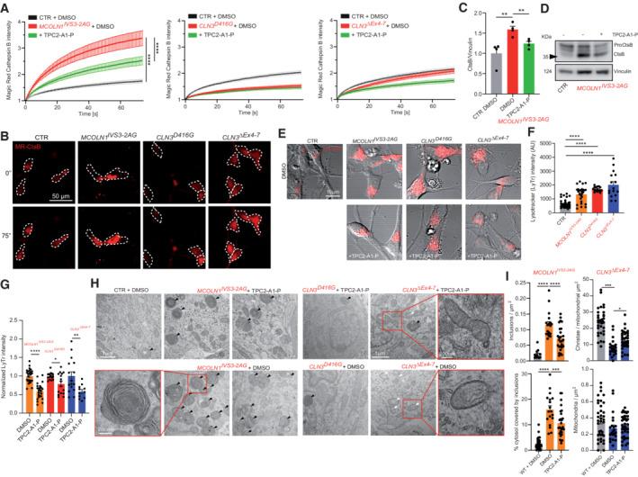 https://cdn.ncbi.nlm.nih.gov/pmc/blobs/23c7/9449600/7d98f793feba/EMMM-14-e15377-g002.jpg