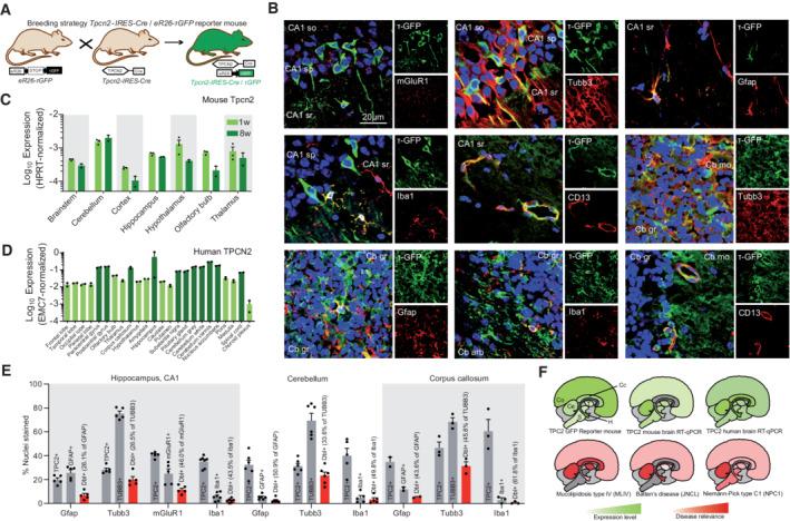 https://cdn.ncbi.nlm.nih.gov/pmc/blobs/23c7/9449600/c9d8c8a375f9/EMMM-14-e15377-g005.jpg