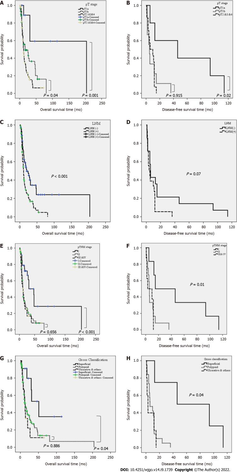 https://cdn.ncbi.nlm.nih.gov/pmc/blobs/23c8/9516654/ce95fa0c6126/WJGO-14-1739-g005.jpg