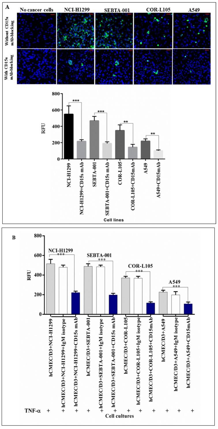 https://cdn.ncbi.nlm.nih.gov/pmc/blobs/23c9/5535965/03b98f33a27e/ijms-18-01474-g003.jpg