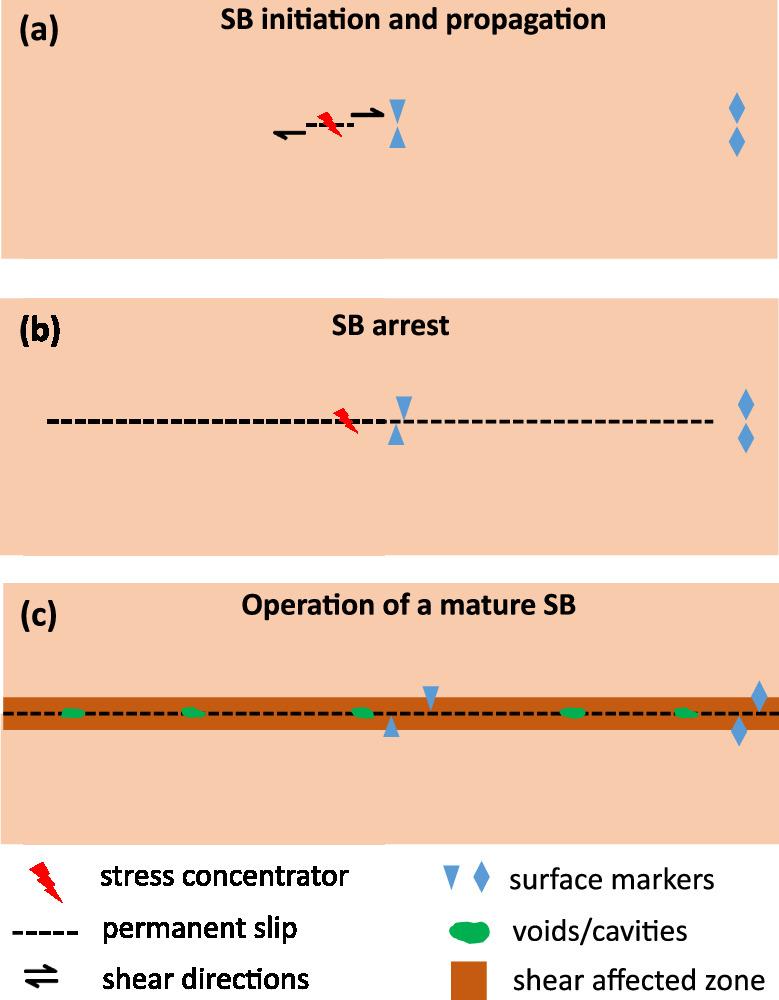 https://cdn.ncbi.nlm.nih.gov/pmc/blobs/23cd/11222483/ebe6748979c7/41467_2024_49829_Fig6_HTML.jpg