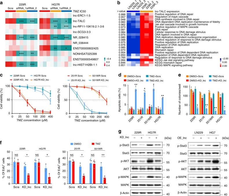 https://cdn.ncbi.nlm.nih.gov/pmc/blobs/23cd/6499807/28af76f4a629/41467_2019_10025_Fig2_HTML.jpg