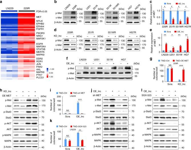 https://cdn.ncbi.nlm.nih.gov/pmc/blobs/23cd/6499807/4081e64c1369/41467_2019_10025_Fig4_HTML.jpg