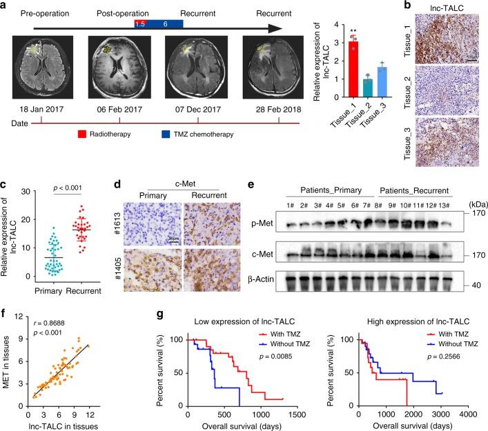 https://cdn.ncbi.nlm.nih.gov/pmc/blobs/23cd/6499807/6173bfe26c1b/41467_2019_10025_Fig8_HTML.jpg