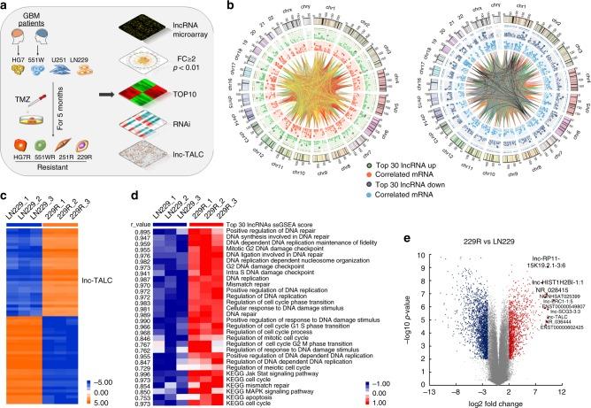 https://cdn.ncbi.nlm.nih.gov/pmc/blobs/23cd/6499807/c598046bf090/41467_2019_10025_Fig1_HTML.jpg