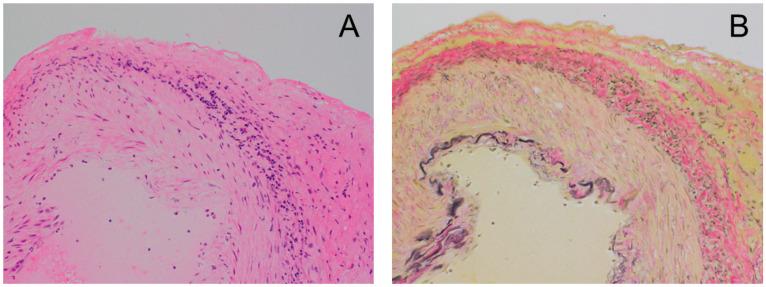 https://cdn.ncbi.nlm.nih.gov/pmc/blobs/23d0/10744572/7811e449b404/medicina-59-02127-g003.jpg