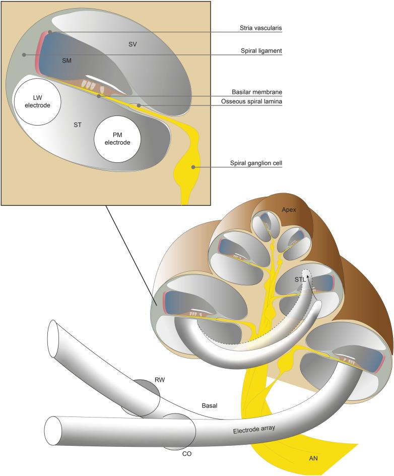 https://cdn.ncbi.nlm.nih.gov/pmc/blobs/23d1/9556579/a5dbf4c35eb7/41598_2022_21399_Fig1_HTML.jpg