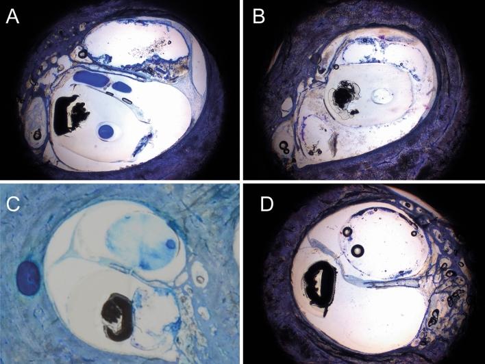 https://cdn.ncbi.nlm.nih.gov/pmc/blobs/23d1/9556579/c53e84386119/41598_2022_21399_Fig4_HTML.jpg