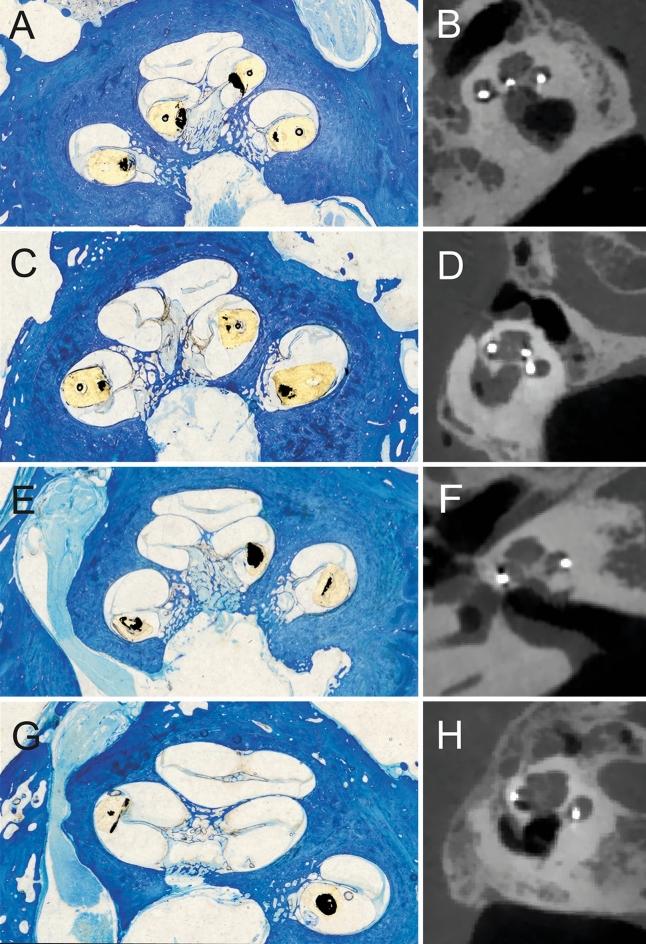 https://cdn.ncbi.nlm.nih.gov/pmc/blobs/23d1/9556579/e9c24214052c/41598_2022_21399_Fig2_HTML.jpg