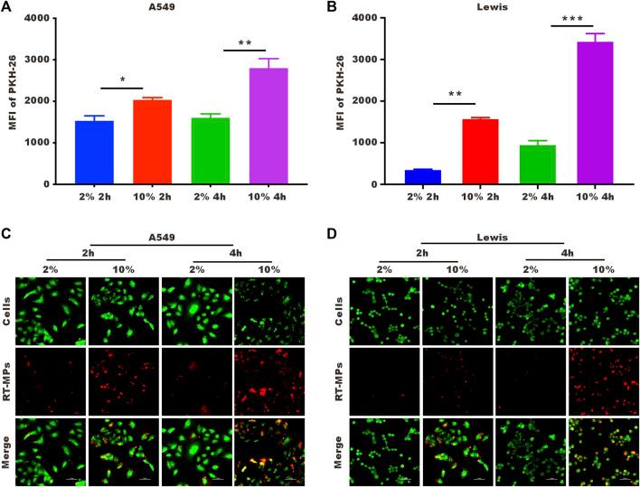https://cdn.ncbi.nlm.nih.gov/pmc/blobs/23d2/10277801/c5066d37f547/fbioe-11-1156951-g004.jpg