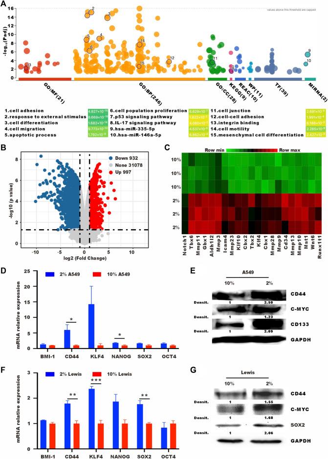 https://cdn.ncbi.nlm.nih.gov/pmc/blobs/23d2/10277801/d82c50d13093/fbioe-11-1156951-g002.jpg