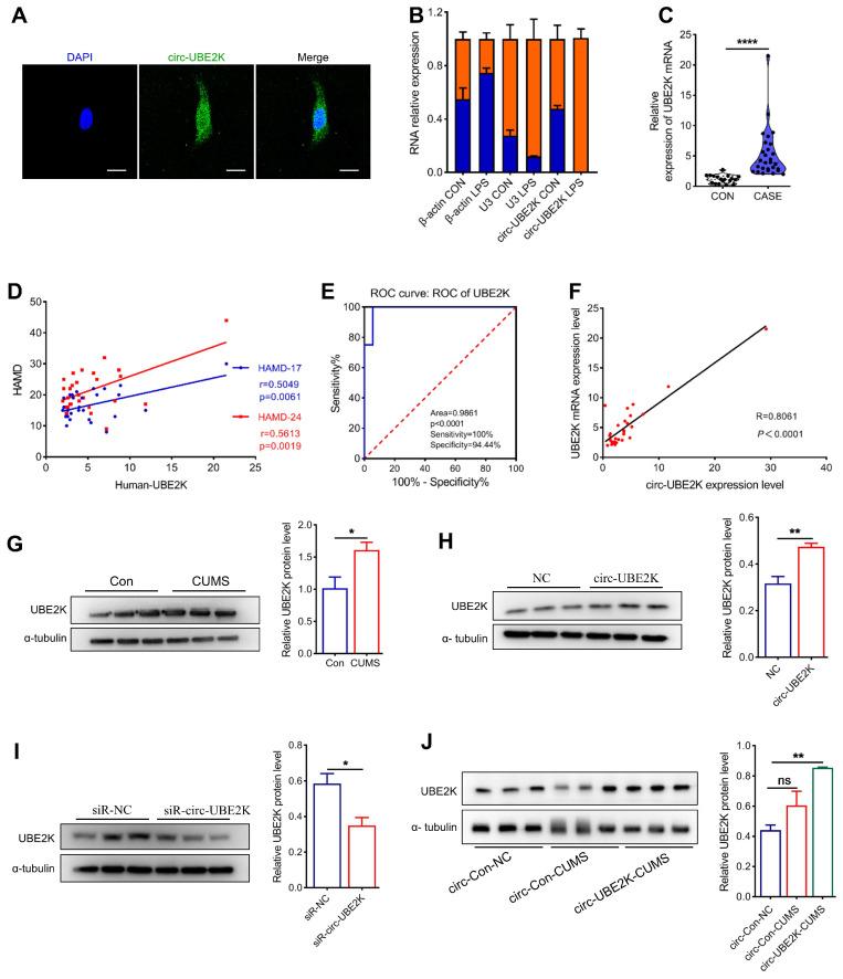 https://cdn.ncbi.nlm.nih.gov/pmc/blobs/23d3/11234284/061d7dfd0cc5/thnov14p4058g006.jpg