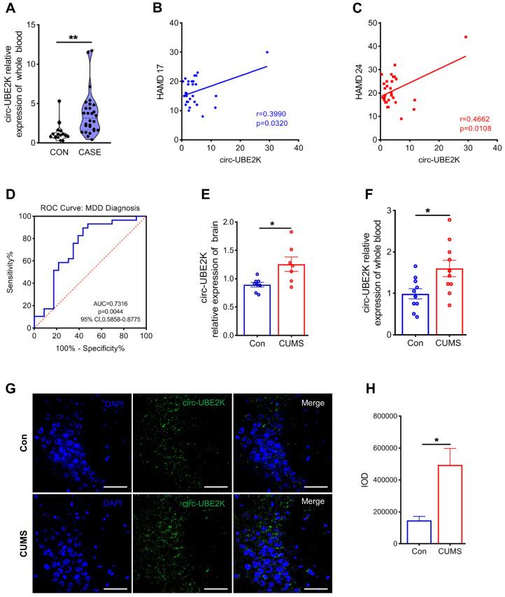 https://cdn.ncbi.nlm.nih.gov/pmc/blobs/23d3/11234284/3b3c5add8368/thnov14p4058g001.jpg