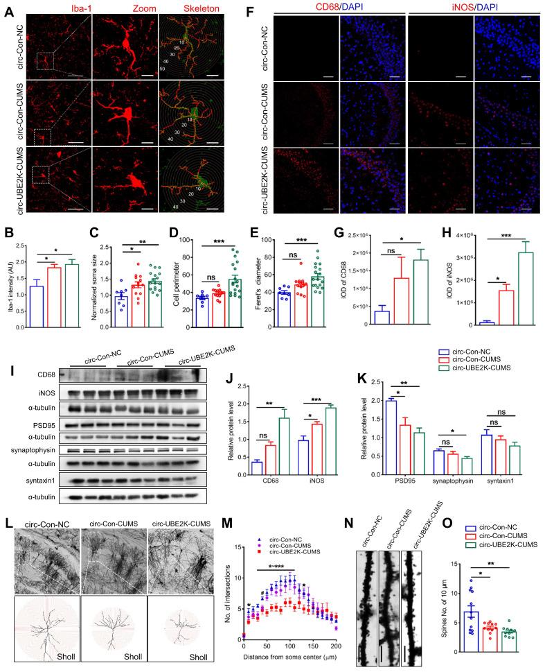 https://cdn.ncbi.nlm.nih.gov/pmc/blobs/23d3/11234284/4bd565f1faf4/thnov14p4058g004.jpg