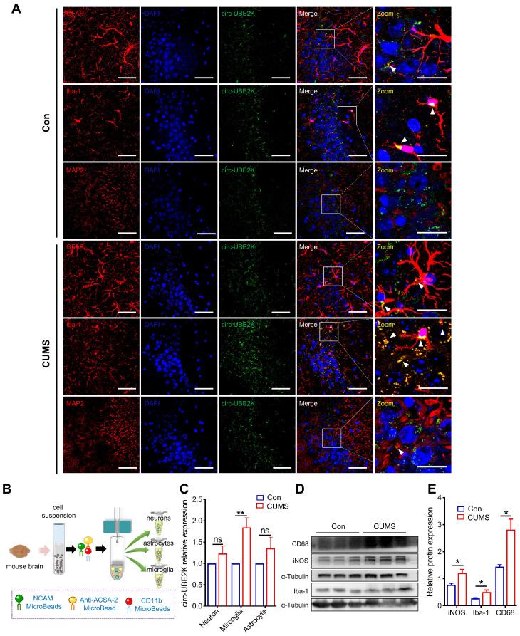 https://cdn.ncbi.nlm.nih.gov/pmc/blobs/23d3/11234284/8b963e002ac0/thnov14p4058g002.jpg